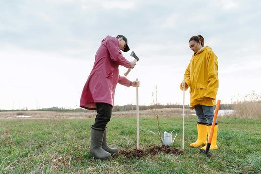 The Top Gardening Tool Checklist
