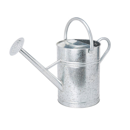 Galvanised Watering Can